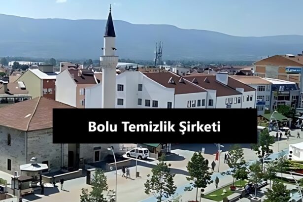 Bolu Temizlik Şirketi