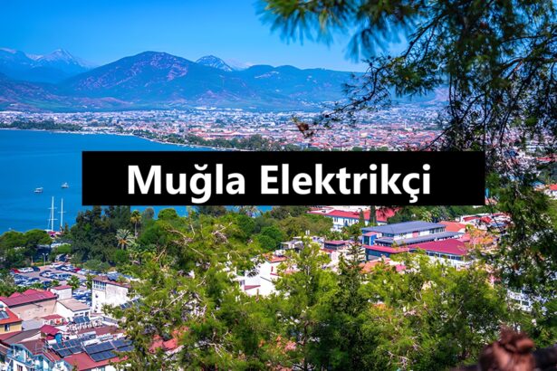 Muğla Elektrikçi