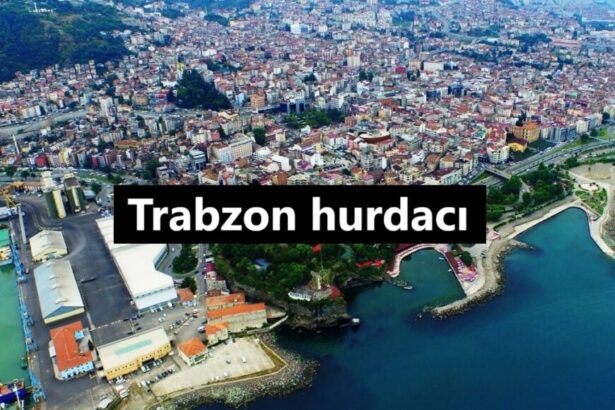 Trabzon hurdacı